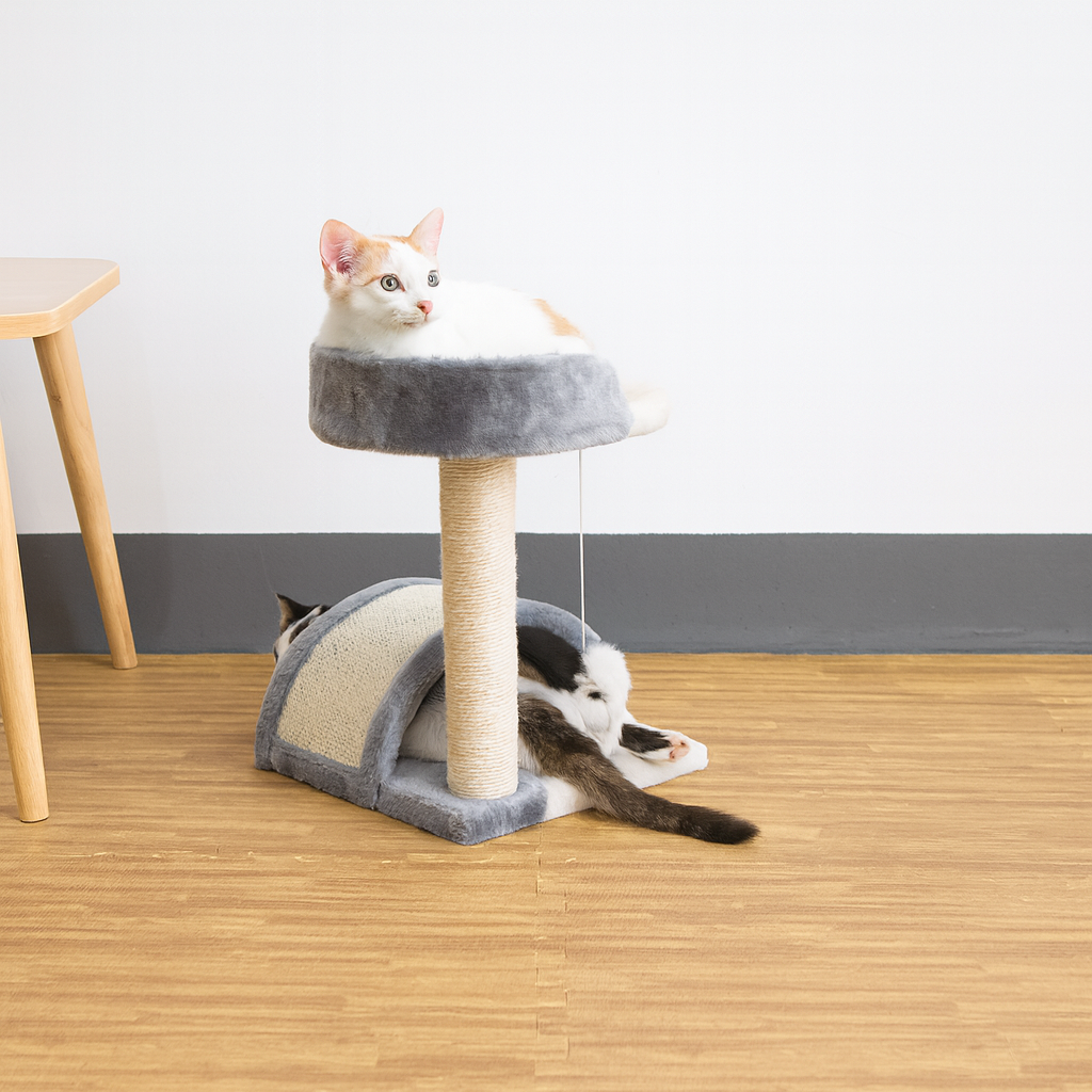 Ansamblu de joaca pisici cu sisal si jucarie soricel, 42 cm, gri – HAPPYpets