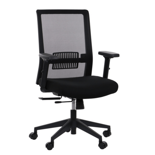 Scaun pivotant ergonomic pentru casa si birou - Seliodrox srl